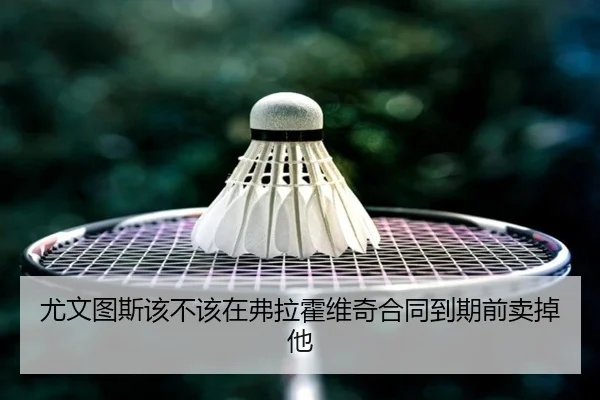 尤文图斯该不该在弗拉霍维奇合同到期前卖掉他